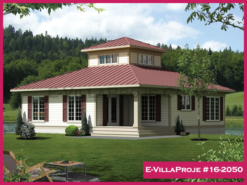 Ev Villa Proje #16 - 2050